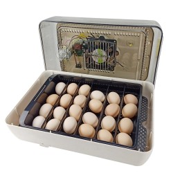 Egg Hatching Service